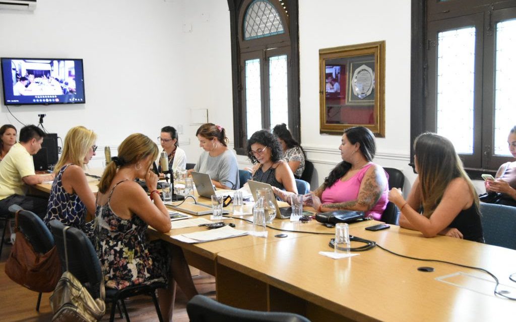 REUNIÓN DE LA COMISIÓN DE FEMINISMOS, DISIDENCIAS Y DERECHOS HUMANOS