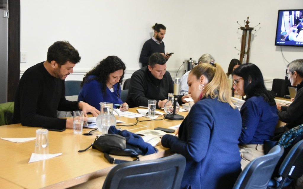 SE ANALIZARON EN PLANEAMIENTO DIFERENTES EXPEDIENTES