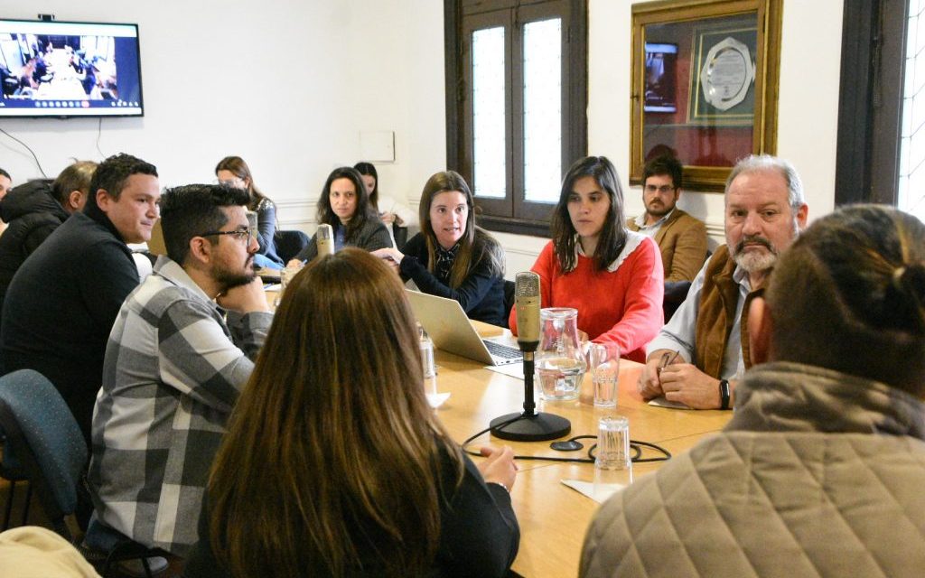RECLAMAN SE PONGA EN MARCHA NORMATIVA SOBRE PINTURA ANTIVANDÁLICA
