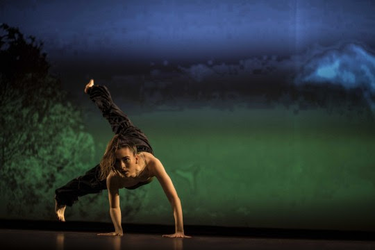 Comienza la 22° edición del Festival Internacional El Cruce