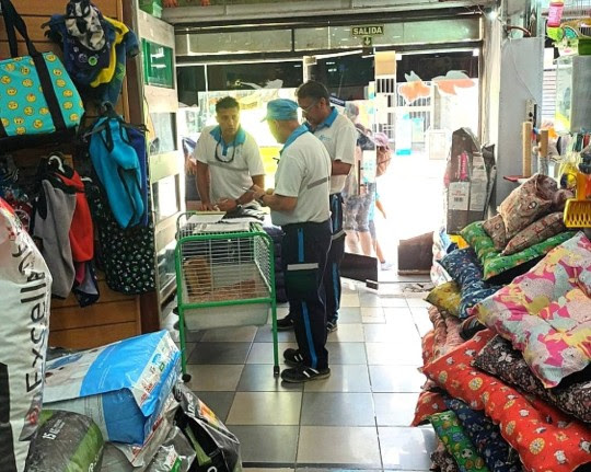 La Municipalidad participó del secuestro de animales silvestres en el centro de Rosario