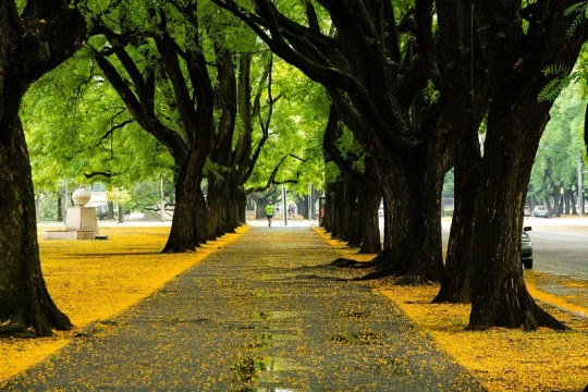 El municipio presenta el calendario ambiental 2024