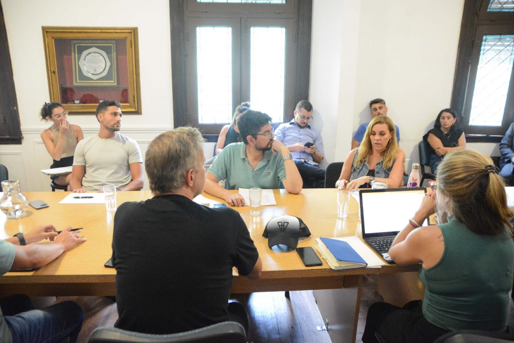 CONTROL, CONVIVENCIA Y SEGURIDAD CIUDADANA