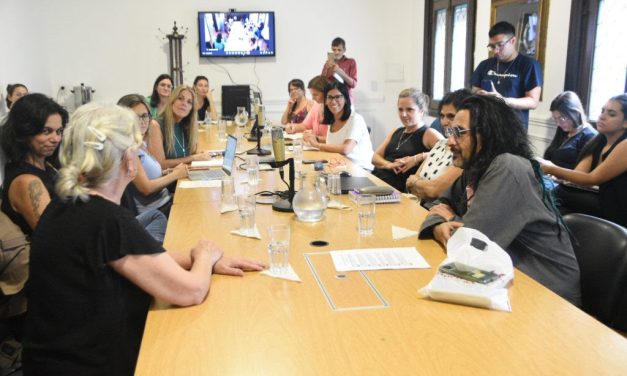 FEMINISMOS, DISIDENCIAS Y DERECHOS HUMANOS EN AUDIENCIA POR EL 24 M