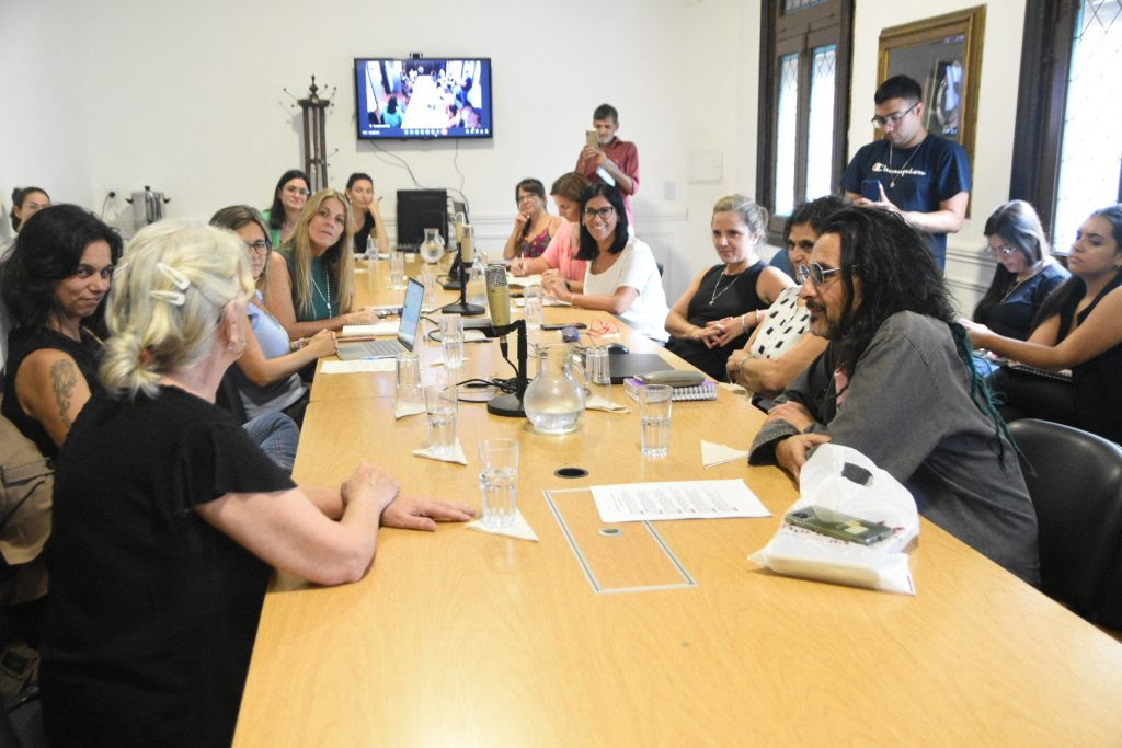 FEMINISMOS, DISIDENCIAS Y DERECHOS HUMANOS EN AUDIENCIA POR EL 24 M