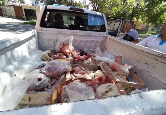 La Municipalidad secuestró 540 kilos de carne en mal estado y clausuró un galpón en Fisherton