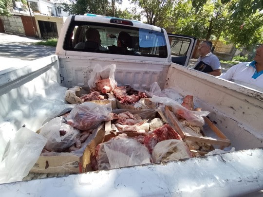 La Municipalidad secuestró 540 kilos de carne en mal estado y clausuró un galpón en Fisherton