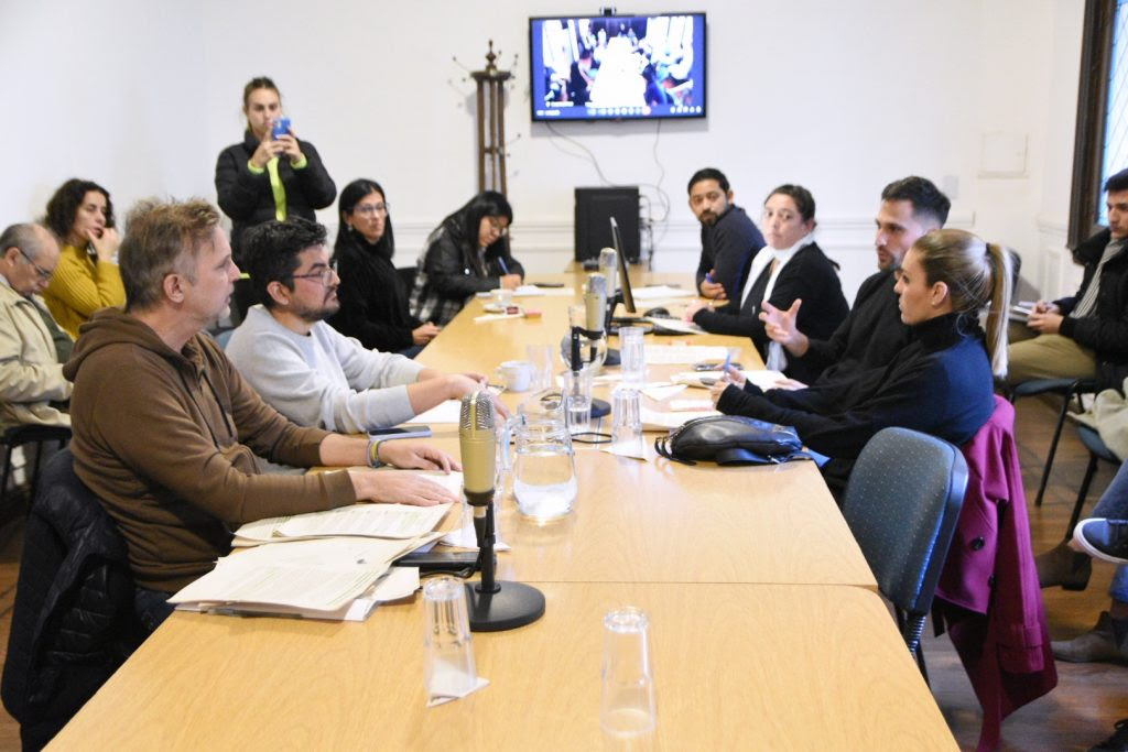 EN LA COMISIÓN DE SEGURIDAD SE DEBATIÓ SOBRE CUIDACOCHES