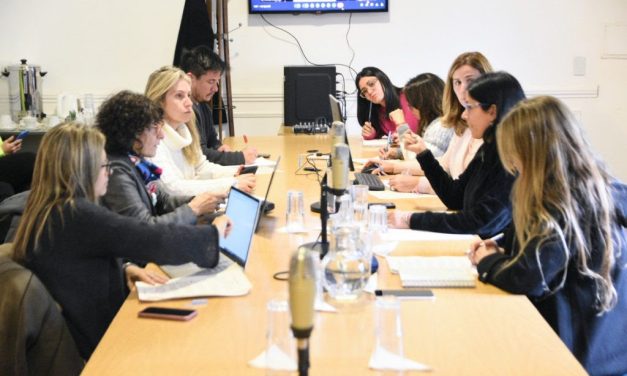 FEMINISMOS, DISIDENCIAS Y DERECHOS HUMANOS TRABAJÓ VARIOS EXPEDIENTES