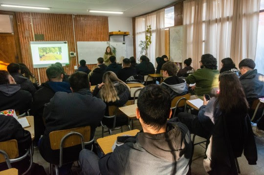 La Secretaría de Ambiente llevará adelante un censo de arbolado en espacios verdes