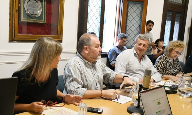 Prórroga de 12 meses para vehículos destinados al aprendizaje para la conducción