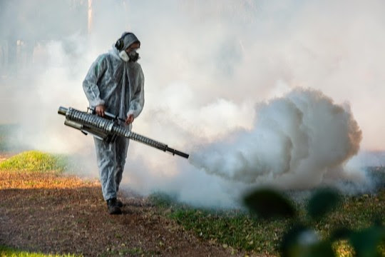 El municipio realiza operativos periódicos de fumigación en parques, plazas y espacios verdes