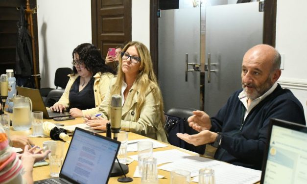 Actividad del Concejo Municipal