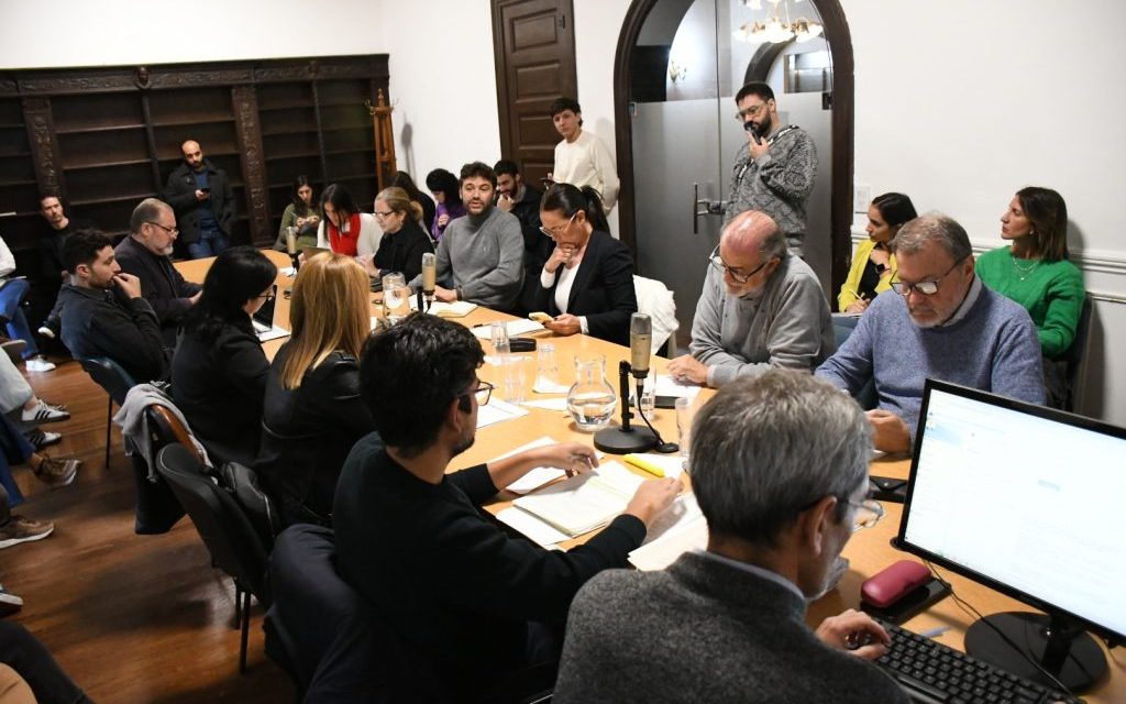 Despacho para el Plan de Detalle de Av. Newbery y Aduana