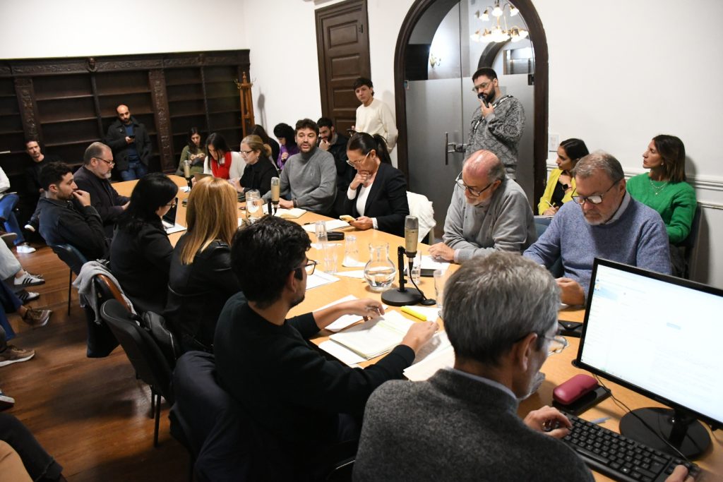 Despacho para el Plan de Detalle de Av. Newbery y Aduana