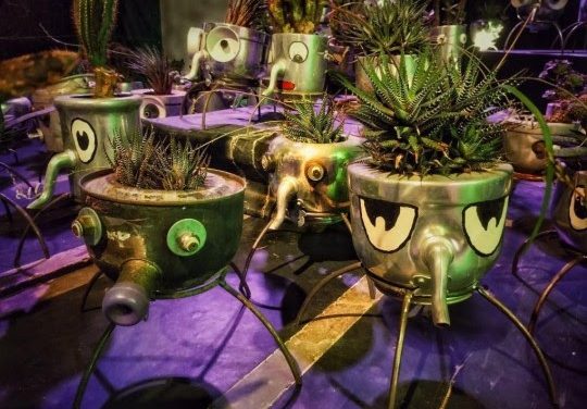 La Rebelión de los Objetos: una muestra que invita a reflexionar sobre la naturaleza y la forma de habitarla