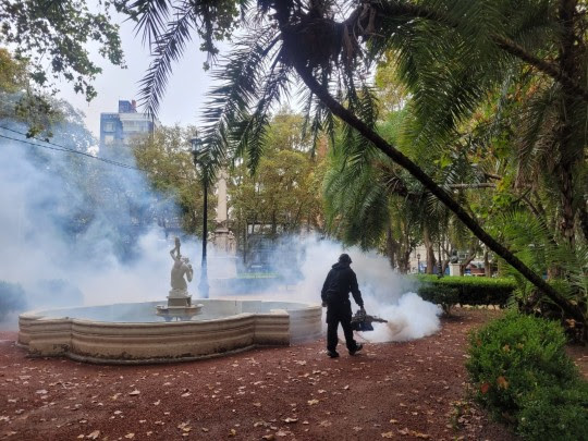 Fumigación: el municipio continúa con los operativos en más de 50 puntos de la ciudad