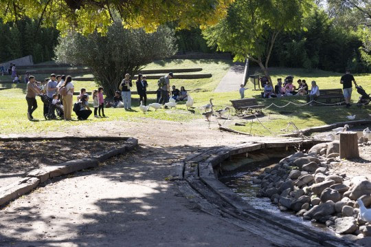La Granja de la Infancia celebra un nuevo aniversario este fin de semana