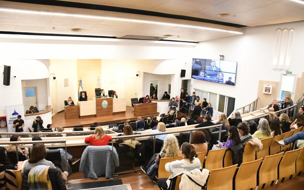 Múltiples reclamos en la Jornada Pública sobre personas con discapacidad