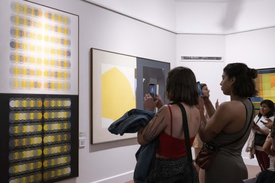 Semana del Arte Rosario 2025: convocan a proyectos artísticos vinculados a los museos de la ciudad