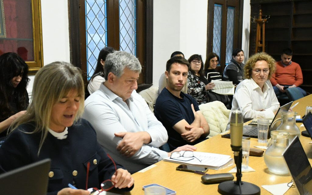Trabajo en las comisiones de Salud, Ecología, Derechos Humanos, Deportes, Planeamiento y Servicios Públicos