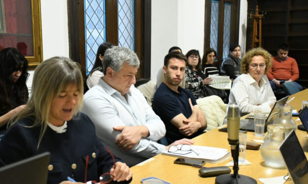 Trabajo en las comisiones de Salud, Ecología, Derechos Humanos, Deportes, Planeamiento y Servicios Públicos