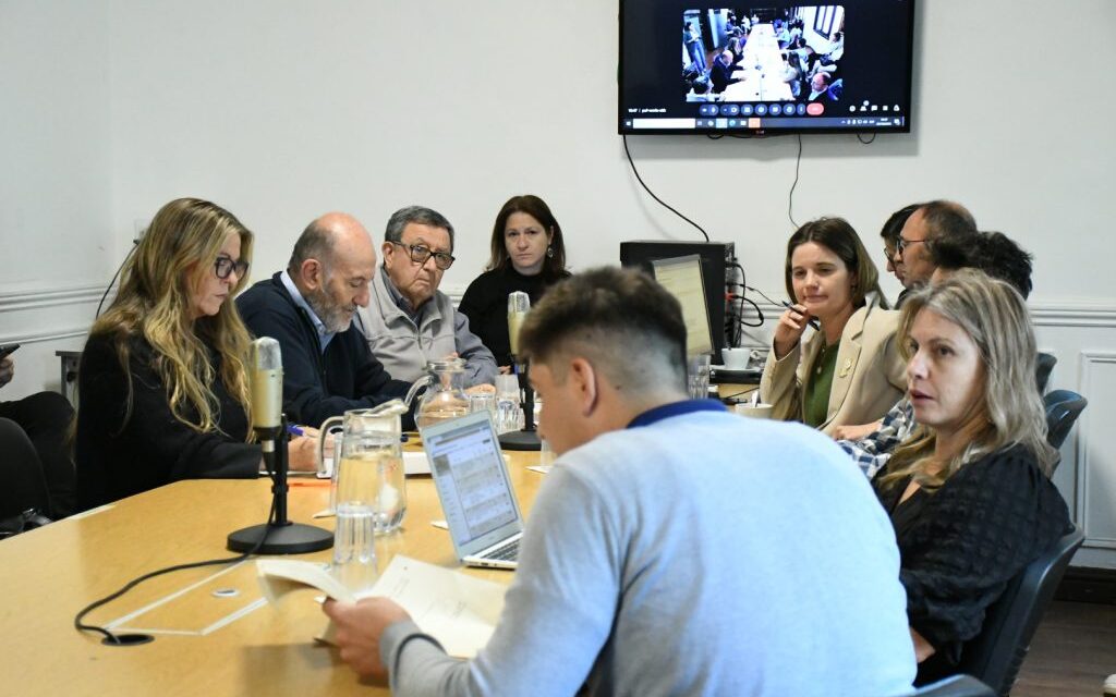 Proyecto Plaza Dorada del Centro de Apoyo Integral Hemato-Oncológico (CENAIH)