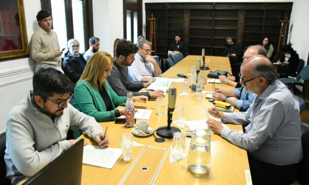 Concejo Deliberante: Trabajo en comisiones