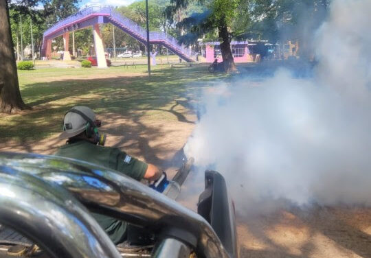 El Municipio continúa con los operativos de fumigación en plazas y espacios verdes