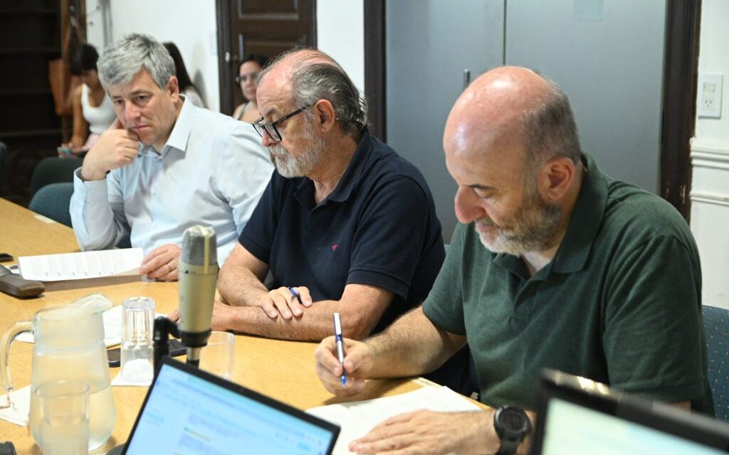 Punto oficial de acopio de pilas en desuso