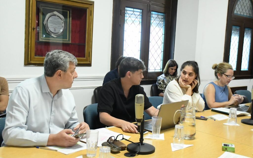 Incorporación de la inteligencia artificial en la gestión pública