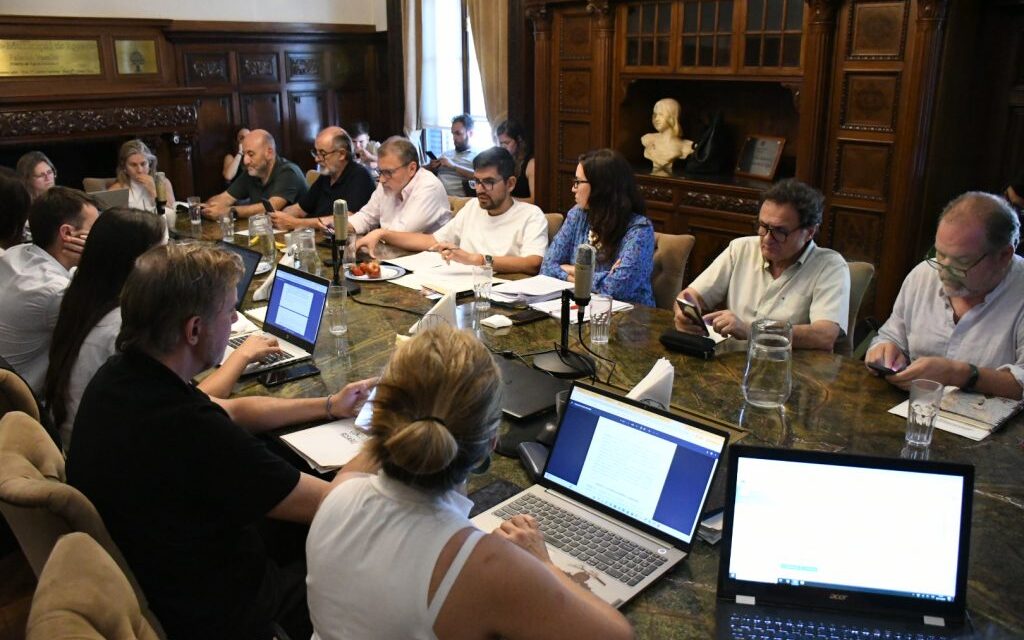 Despacho a la ordenanza de autonomía