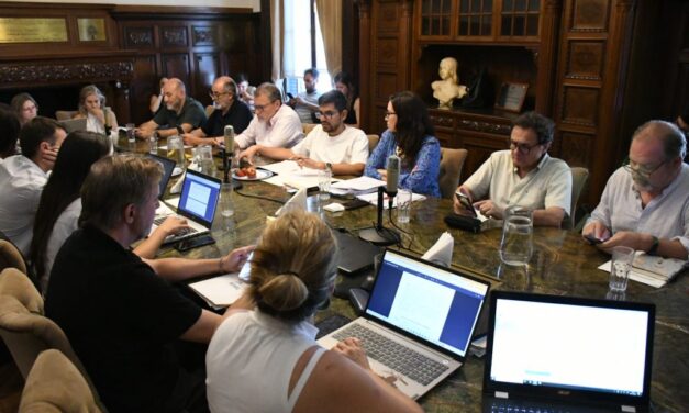 Despacho a la ordenanza de autonomía