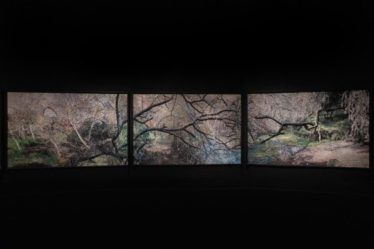 La obra monumental del grupo Mondongo llega al Museo Castagnino