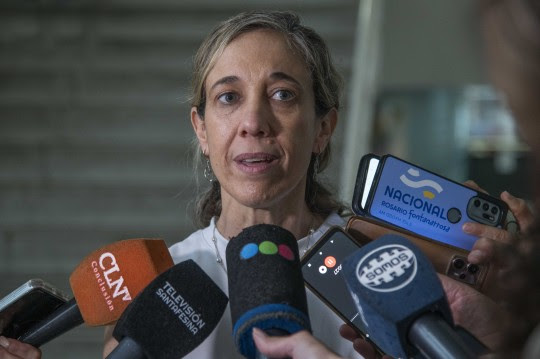 Dengue: Salud Pública confirmó la presencia del mosquito transmisor y refuerza medidas de prevención