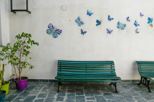 Casa Amiga: el centro de protección para mujeres y mujeres trans reabre remodelado