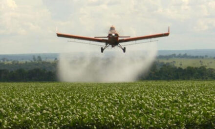 ABORTOS ESPONTÁNEOS, INFERTILIDAD Y SILENCIOS Por Florencia Galarza