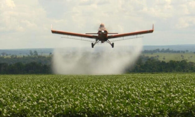 ABORTOS ESPONTÁNEOS, INFERTILIDAD Y SILENCIOS Por Florencia Galarza