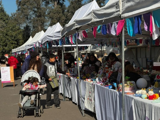 Llega la primera del 2026: Feria Especial de Reyes en la plaza Pringles
