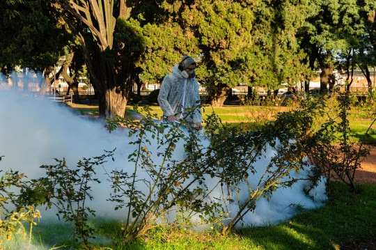 El municipio continúa con los operativos periódicos de fumigación en distintas zonas de la ciudad