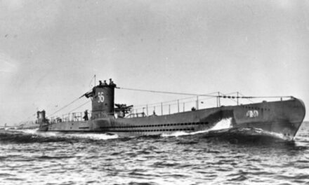 HISTORIAS DE LA HISTORIA: ENIGMAS, MISTERIOS Y HECHOS NUNCA RESUELTOS POR MARCELO AGNOLI