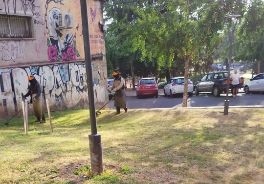 Desmalezado: cuadrillas del municipio realizan tareas en todos los distritos