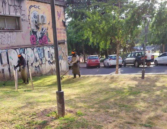 Desmalezado: cuadrillas del municipio realizan tareas en todos los distritos