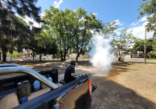 Fumigación: el municipio continúa con los operativos periódicos en distintas zonas de la ciudad