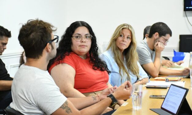 Buscan crear un Área de Inclusión, Discapacidad y Salud Mental en el Concejo Municipal