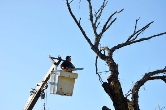 A través de nuevo operativo barrial el municipio concretó mejoras en un sector de Fisherton