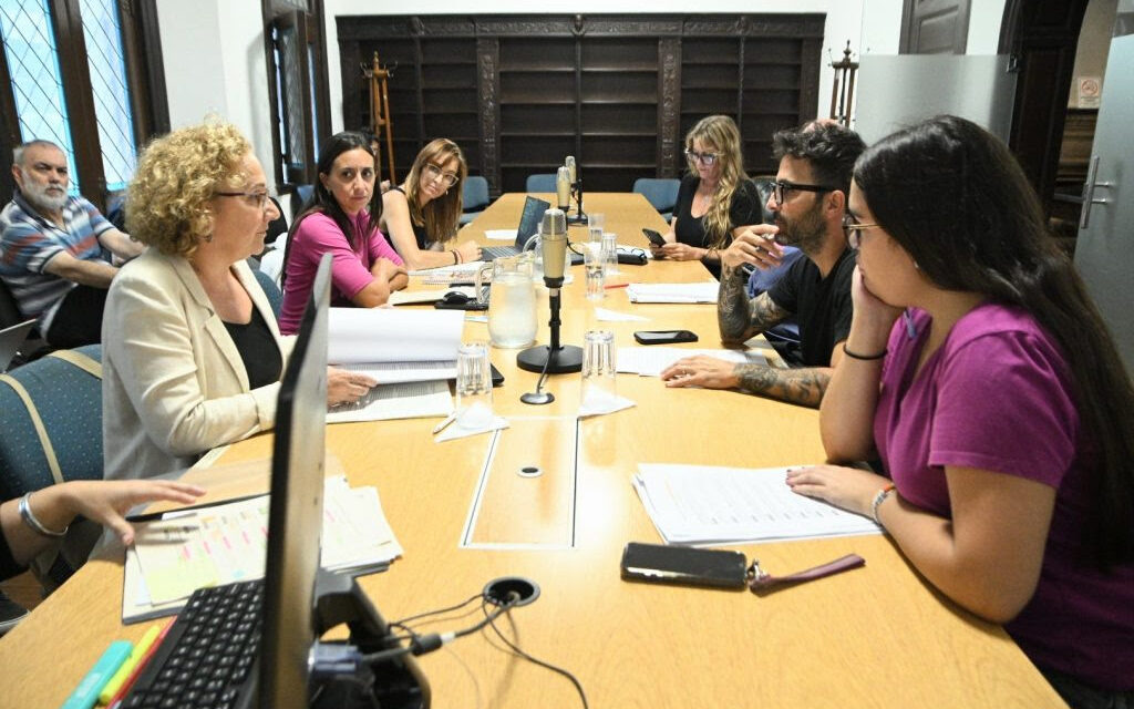 Audiencia por inclusión