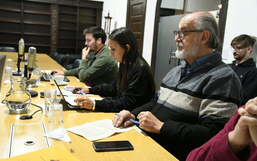 Pedido de informe por títulos públicos