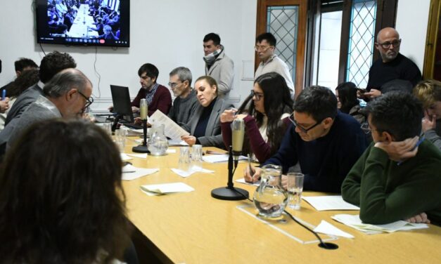 Viabilidad patrimonial
