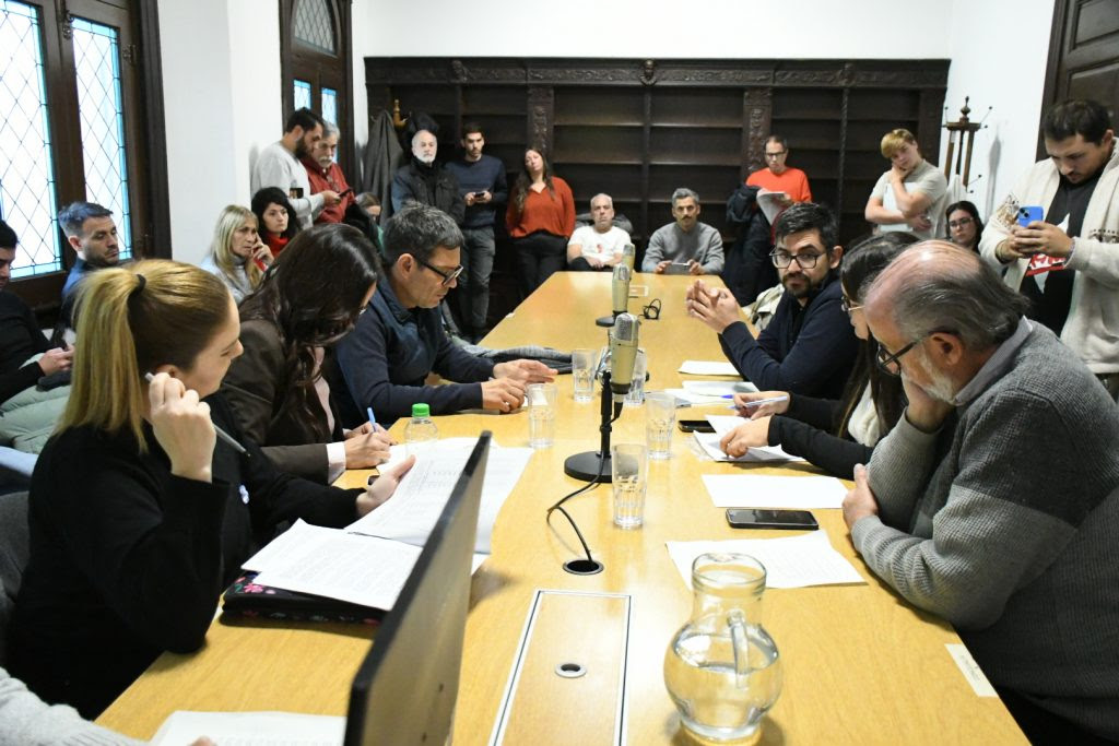 Transporte: publicidad, frecuencias y taxis eléctricos